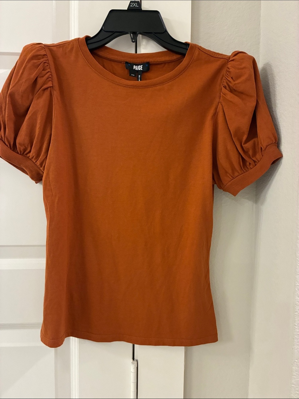 PAIGE Matcha Puff Sleeve Tee in Burnt Terracotta